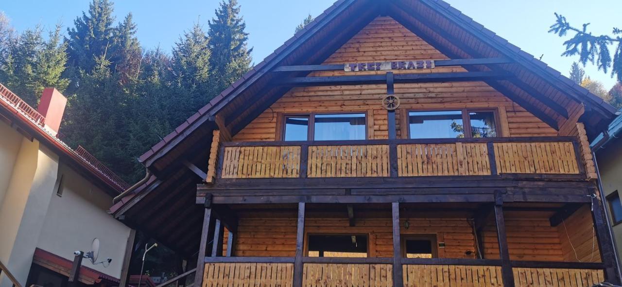 Cabana "Trei Brazi " Retezat Rîu de Mori Exterior foto